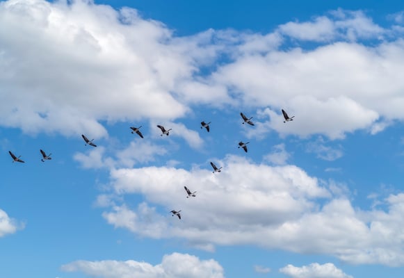 The fundamentals of an effective cloud migration strategy
